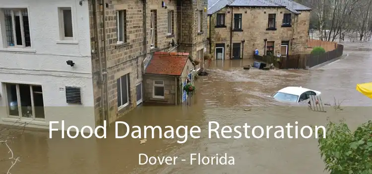 Flood Damage Restoration Dover - Florida