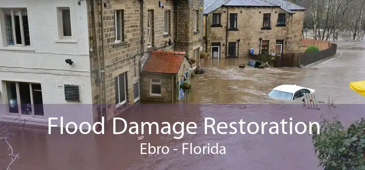 Flood Damage Restoration Ebro - Florida