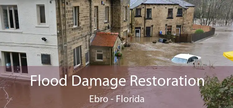 Flood Damage Restoration Ebro - Florida