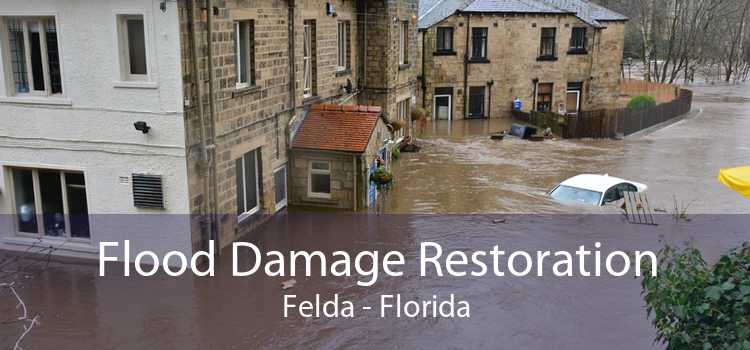 Flood Damage Restoration Felda - Florida