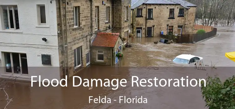 Flood Damage Restoration Felda - Florida