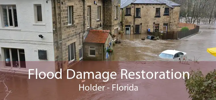 Flood Damage Restoration Holder - Florida