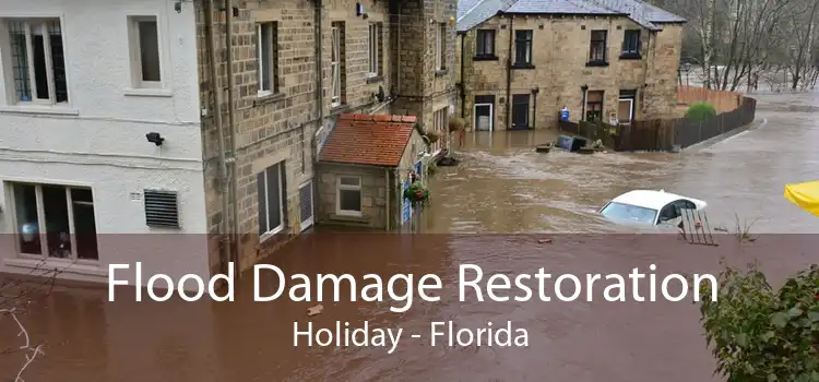 Flood Damage Restoration Holiday - Florida