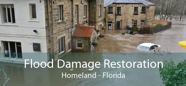 Flood Damage Restoration Homeland - Florida
