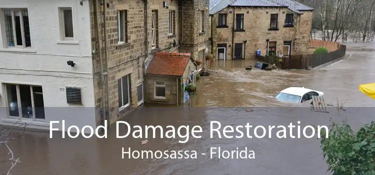 Flood Damage Restoration Homosassa - Florida