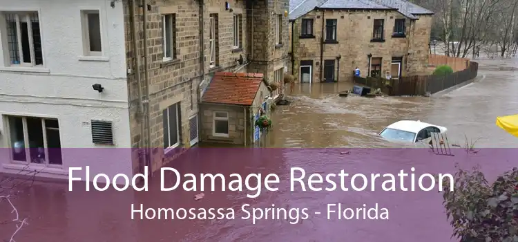 Flood Damage Restoration Homosassa Springs - Florida