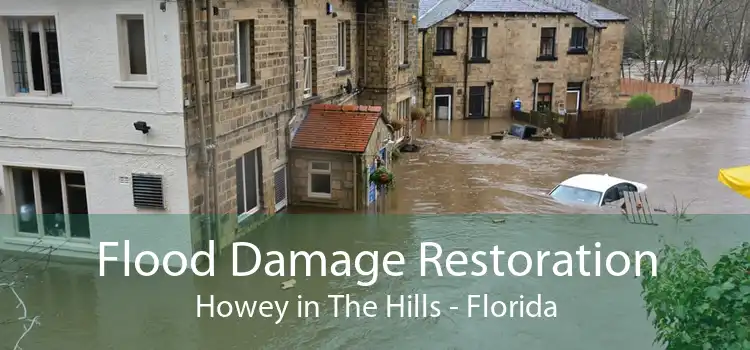 Flood Damage Restoration Howey in The Hills - Florida