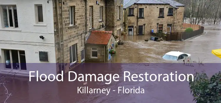 Flood Damage Restoration Killarney - Florida