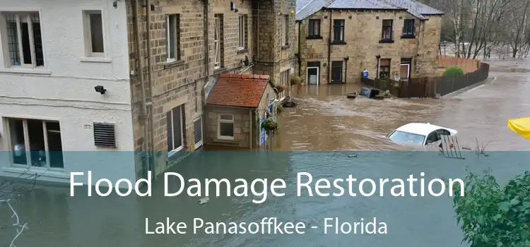 Flood Damage Restoration Lake Panasoffkee - Florida