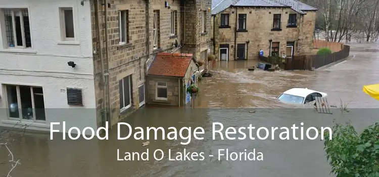 Flood Damage Restoration Land O Lakes - Florida