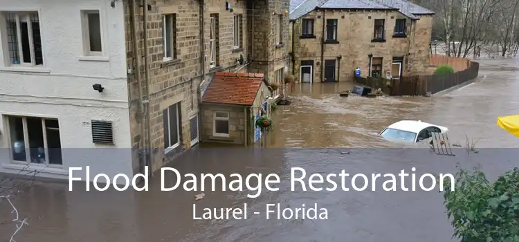 Flood Damage Restoration Laurel - Florida