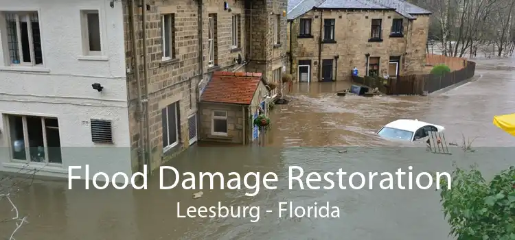 Flood Damage Restoration Leesburg - Florida
