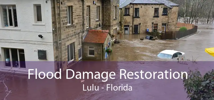 Flood Damage Restoration Lulu - Florida