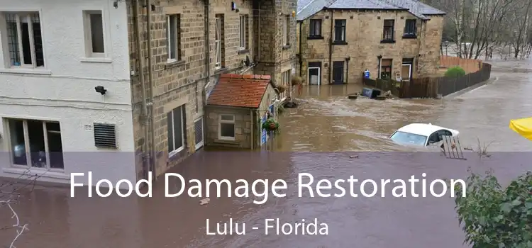 Flood Damage Restoration Lulu - Florida