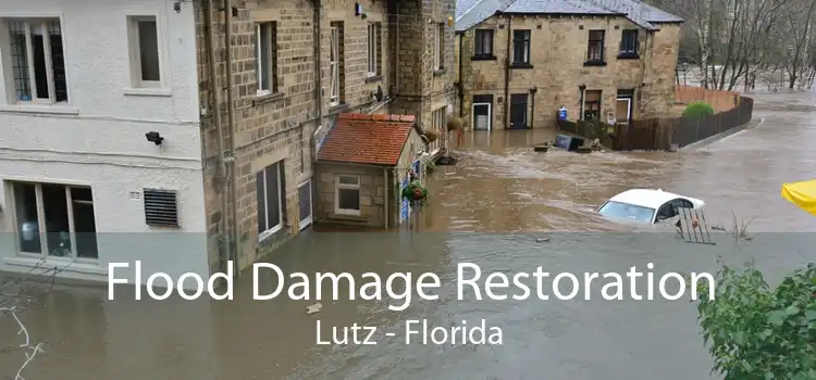 Flood Damage Restoration Lutz - Florida