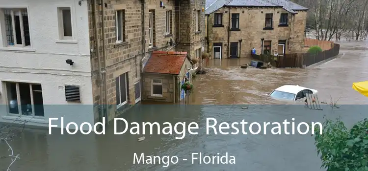 Flood Damage Restoration Mango - Florida