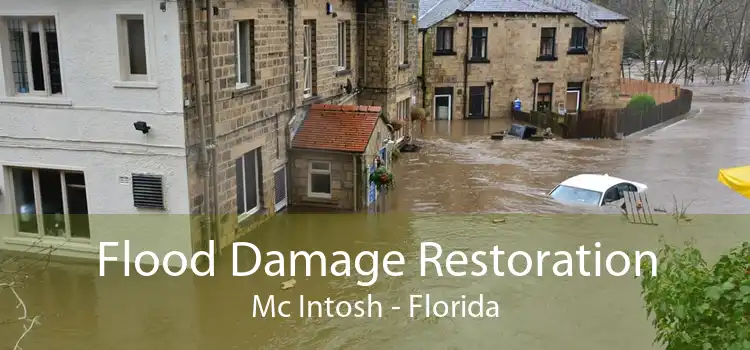 Flood Damage Restoration Mc Intosh - Florida