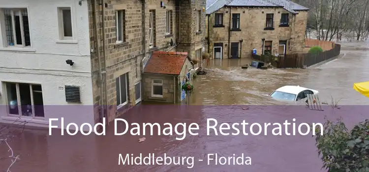 Flood Damage Restoration Middleburg - Florida