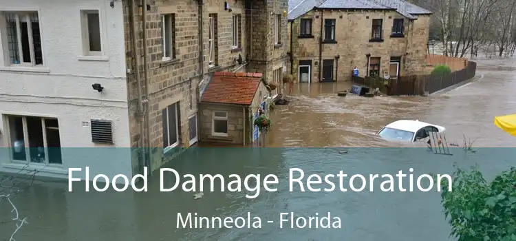 Flood Damage Restoration Minneola - Florida