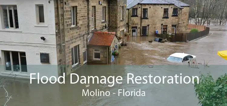 Flood Damage Restoration Molino - Florida