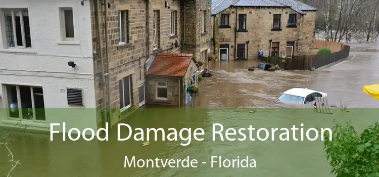 Flood Damage Restoration Montverde - Florida