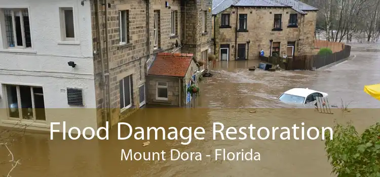 Flood Damage Restoration Mount Dora - Florida