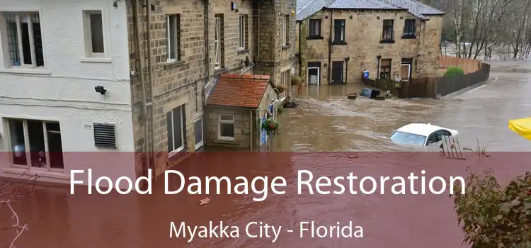 Flood Damage Restoration Myakka City - Florida