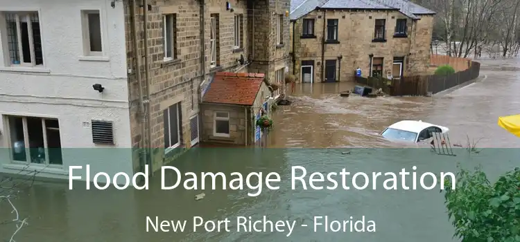 Flood Damage Restoration New Port Richey - Florida