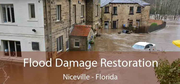 Flood Damage Restoration Niceville - Florida