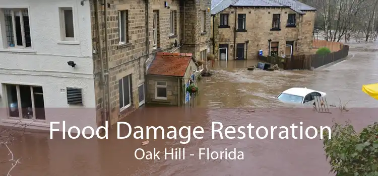 Flood Damage Restoration Oak Hill - Florida