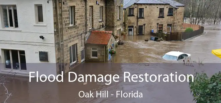 Flood Damage Restoration Oak Hill - Florida