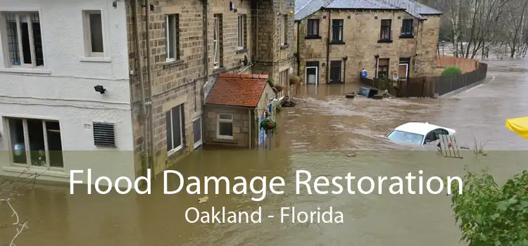 Flood Damage Restoration Oakland - Florida