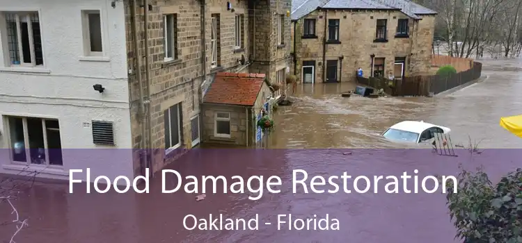 Flood Damage Restoration Oakland - Florida