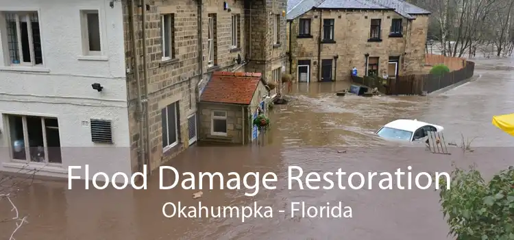 Flood Damage Restoration Okahumpka - Florida