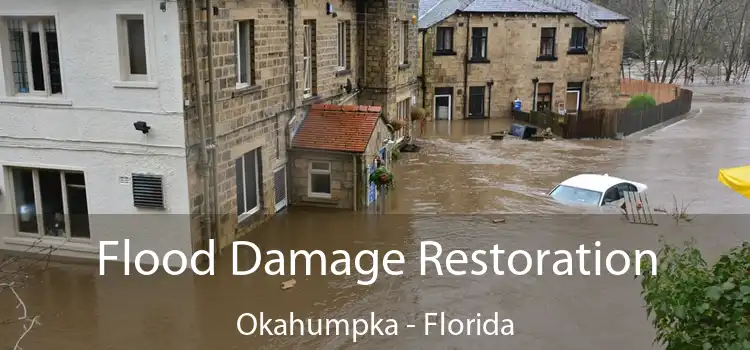 Flood Damage Restoration Okahumpka - Florida