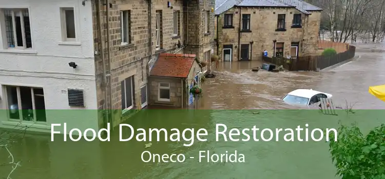 Flood Damage Restoration Oneco - Florida