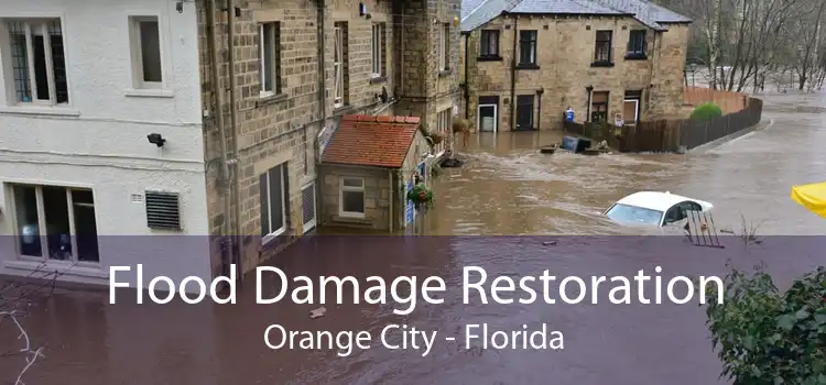 Flood Damage Restoration Orange City - Florida