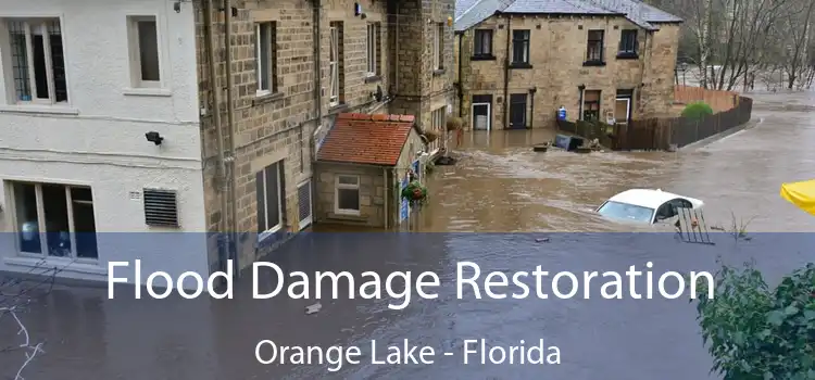 Flood Damage Restoration Orange Lake - Florida