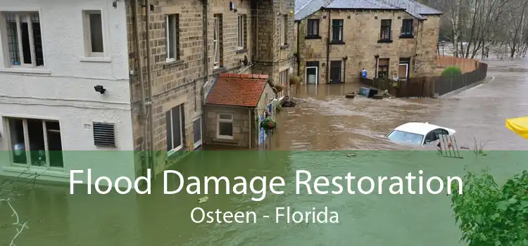 Flood Damage Restoration Osteen - Florida