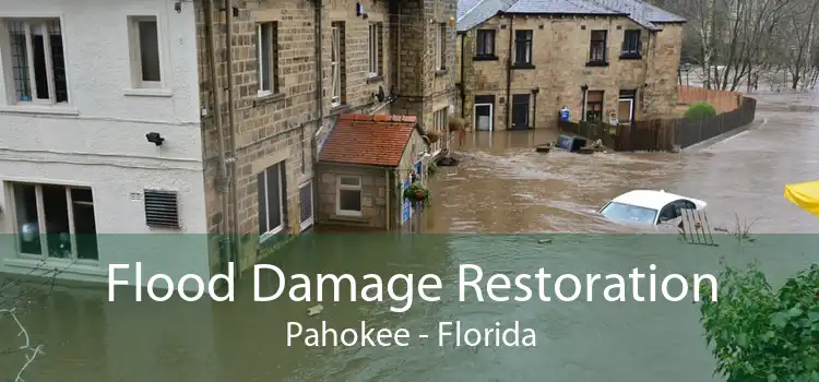 Flood Damage Restoration Pahokee - Florida