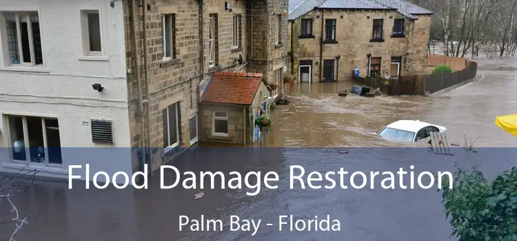 Flood Damage Restoration Palm Bay - Florida