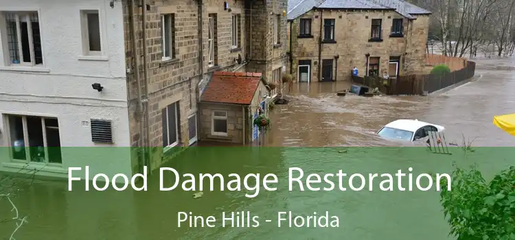 Flood Damage Restoration Pine Hills - Florida