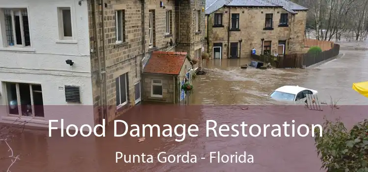 Flood Damage Restoration Punta Gorda - Florida