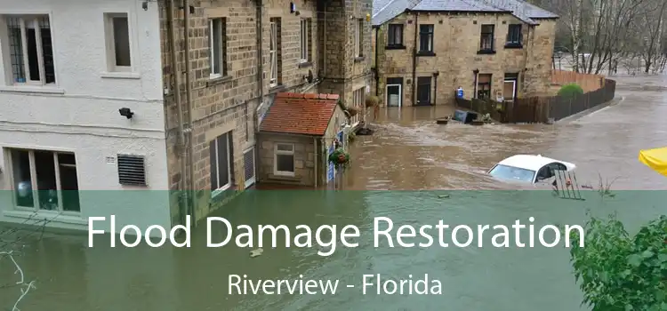 Flood Damage Restoration Riverview - Florida