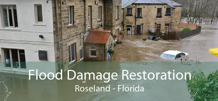 Flood Damage Restoration Roseland - Florida