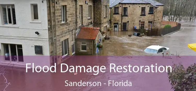 Flood Damage Restoration Sanderson - Florida