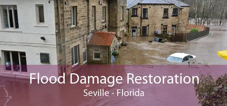 Flood Damage Restoration Seville - Florida