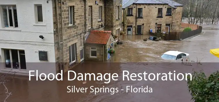 Flood Damage Restoration Silver Springs - Florida