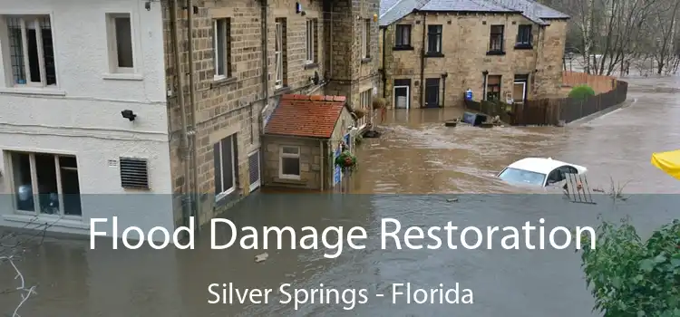 Flood Damage Restoration Silver Springs - Florida