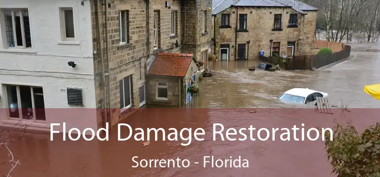 Flood Damage Restoration Sorrento - Florida